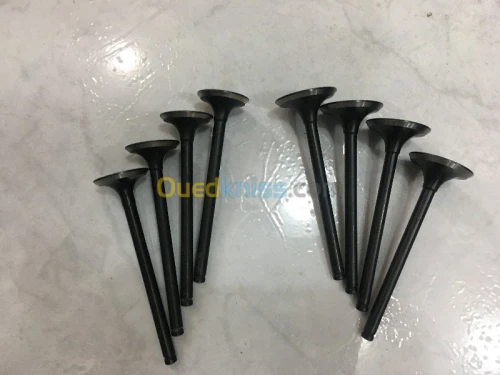 SOUPAPE MOTEUR TATA INDICA