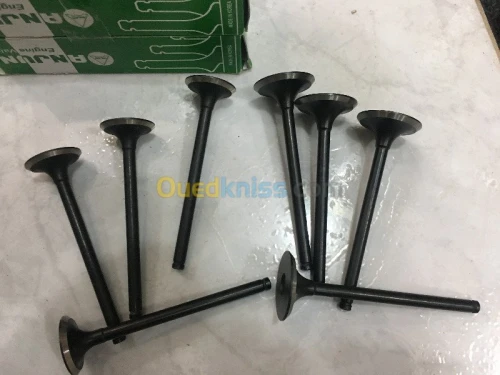SOUPAPE MOTEUR TATA INDICA