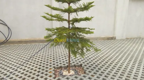 nettoyage ét jardinage 