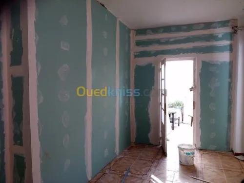 placo platre et peinture