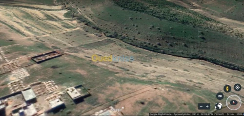 Vente Terrain Chlef Chlef
