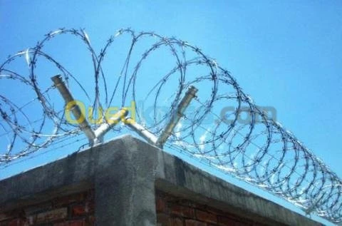 barbelé (concertina)