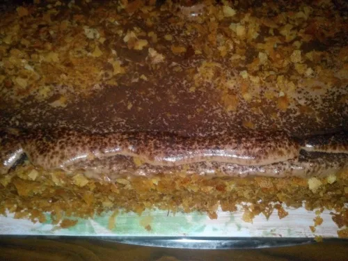 Gâteaux de mariage
