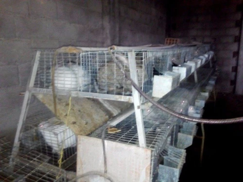 batterie pour lapin,  a vendre