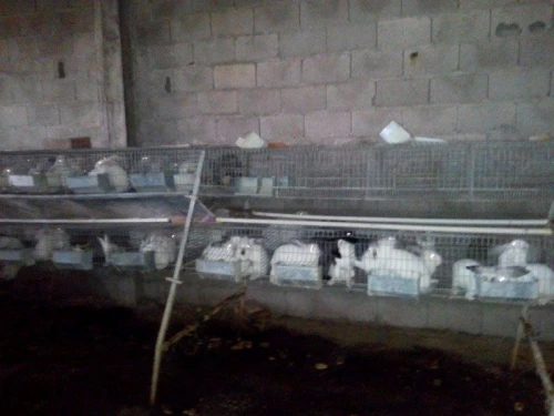 batterie pour lapin,  a vendre