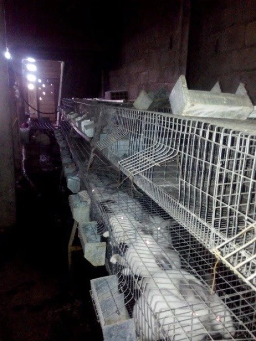 batterie pour lapin,  a vendre