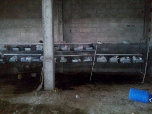 batterie pour lapin,  a vendre