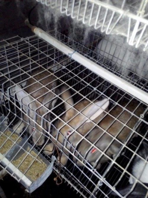 batterie pour lapin,  a vendre
