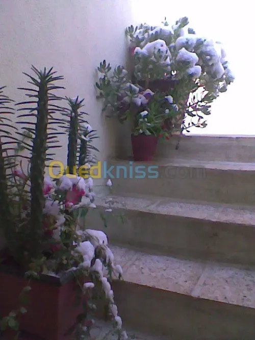 Vente Niveau De Villa F9 Batna Ouyoun el assafir
