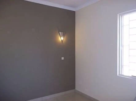 Peintre professionnel