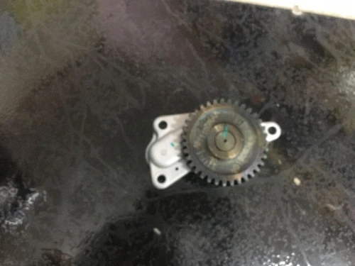 POMPE A HUILE HUANGHAI LANDSCAPE