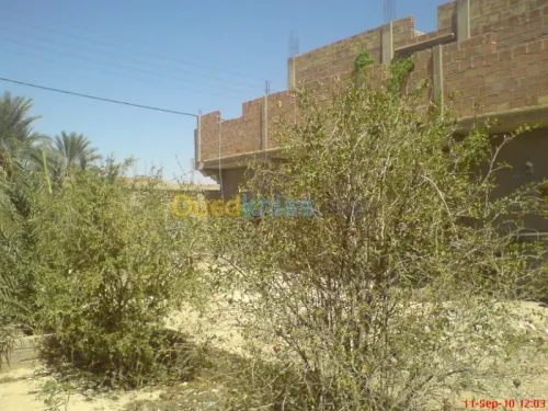 Vente Niveau De Villa F5 Biskra Lichana