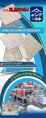 لابراج لصناعة البلاط مونوكوش33×33