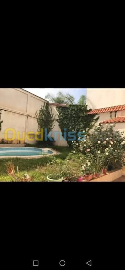 Location Villa Alger Cheraga