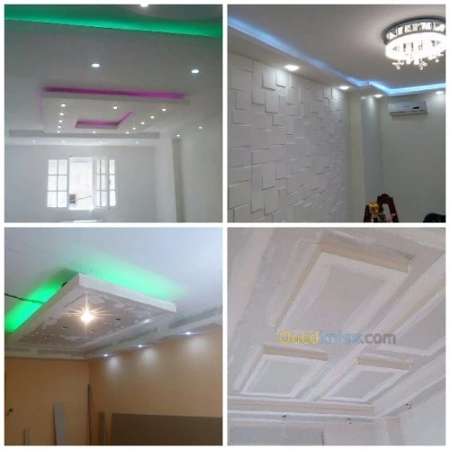 Faux Plafonds (PVC & Placoplâtre) 