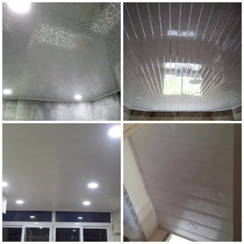 Faux Plafonds (PVC & Placoplâtre) 
