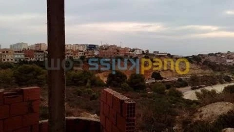 Vente Carcasse Ain temouchent Beni saf
