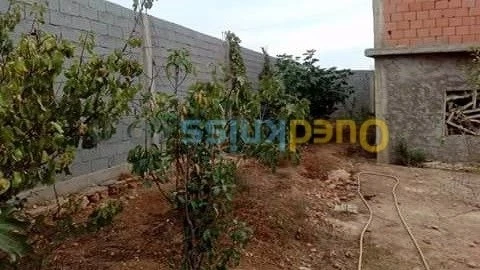 Vente Carcasse Ain temouchent Beni saf