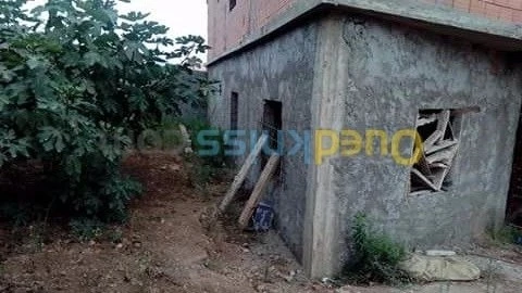 Vente Carcasse Ain temouchent Beni saf