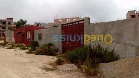 Vente Carcasse Ain temouchent Beni saf