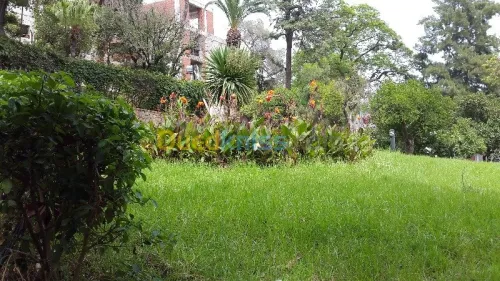 Jardinage - بستنة