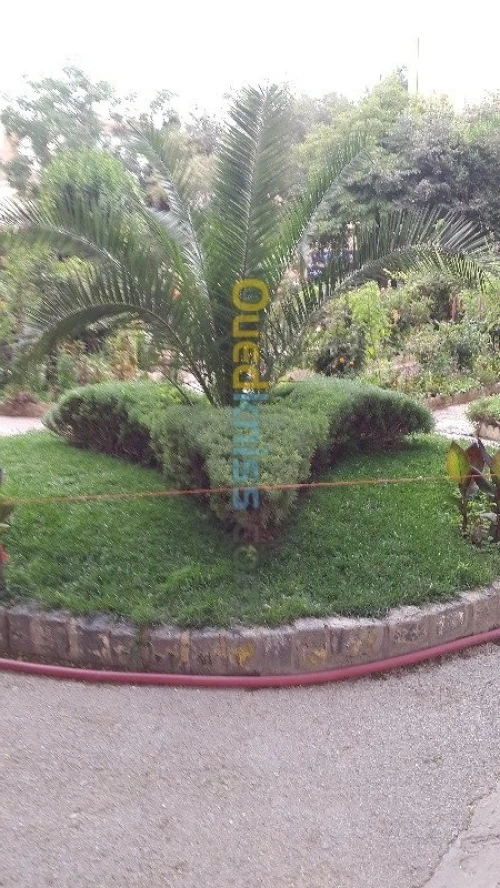 Jardinage - بستنة