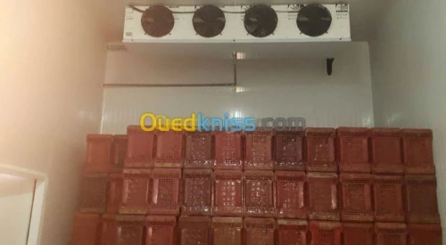 location chambre froid