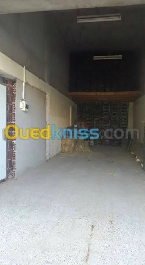 location chambre froid