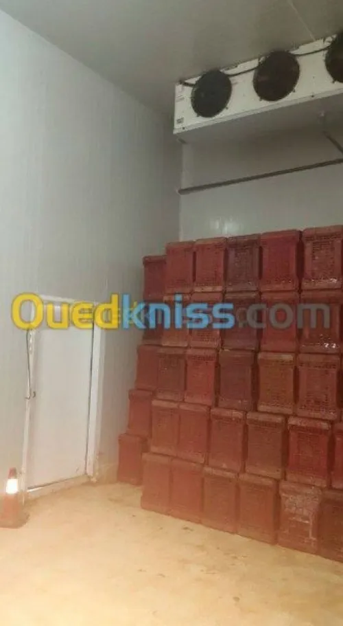 location chambre froid