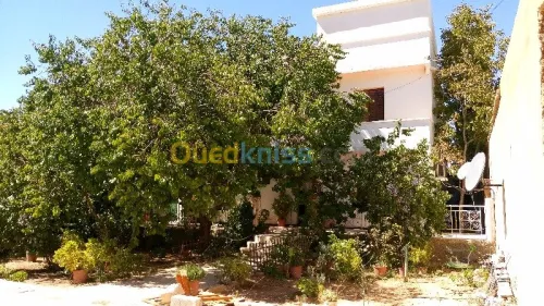 Vente Villa Tebessa Hammamet