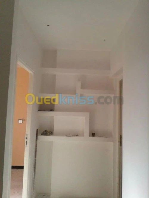 Decoration placoplatre