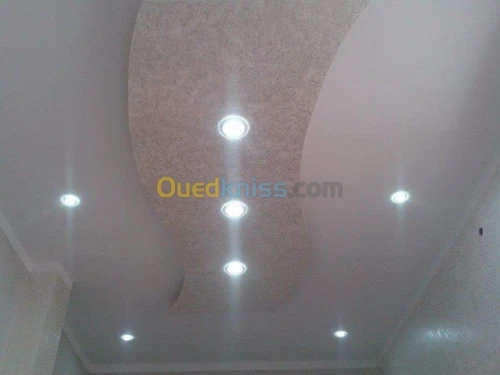 Decoration placoplatre
