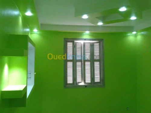 Decoration placoplatre