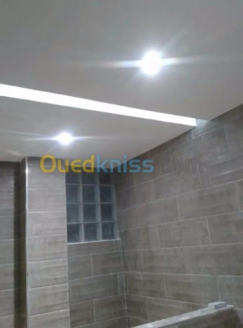 Decoration placoplatre