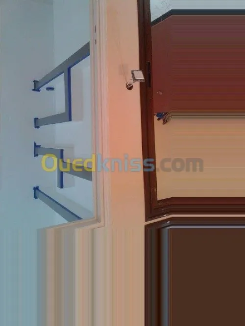 Decoration placoplatre