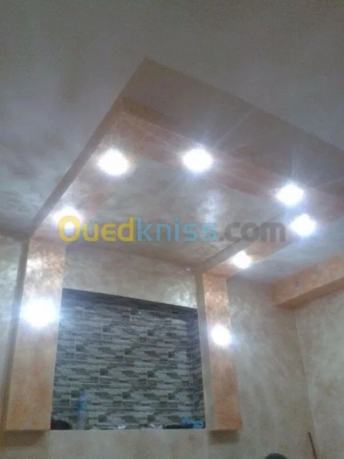 Decoration placoplatre