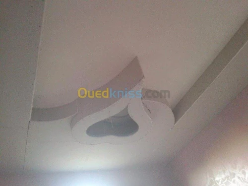 Decoration placoplatre