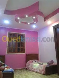 Decoration placoplatre