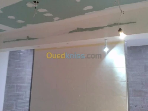 Decoration placoplatre