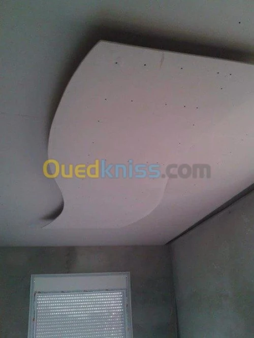 Decoration placoplatre