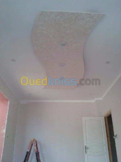 Decoration placoplatre