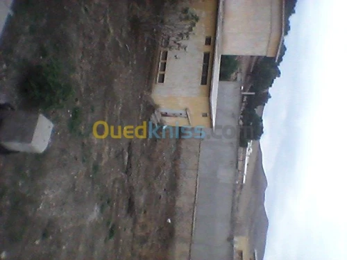 Vente Usine Constantine Constantine