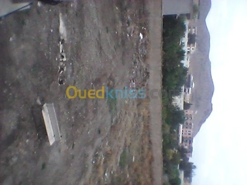 Vente Usine Constantine Constantine