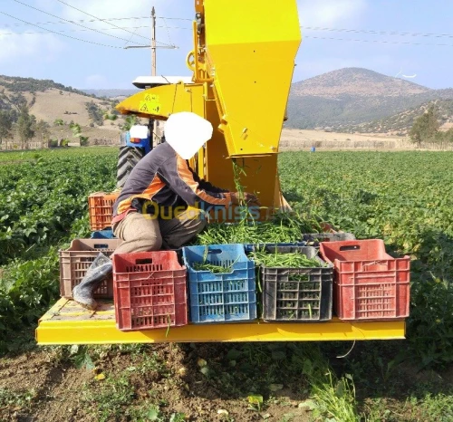 Récolteuse haricot vert OXBO BH100 USA