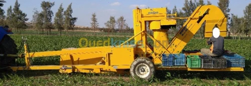 Récolteuse haricot vert OXBO BH100 USA