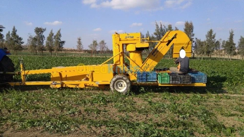 Récolteuse haricot vert OXBO BH100 USA