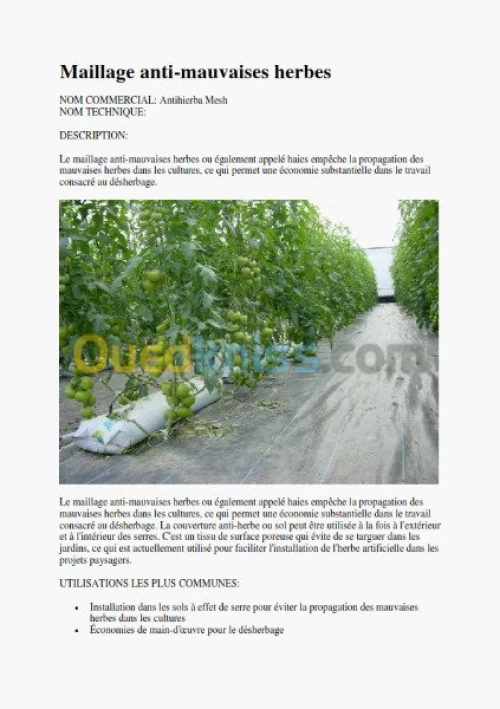 FILET POUR MULTICHAPELLE 