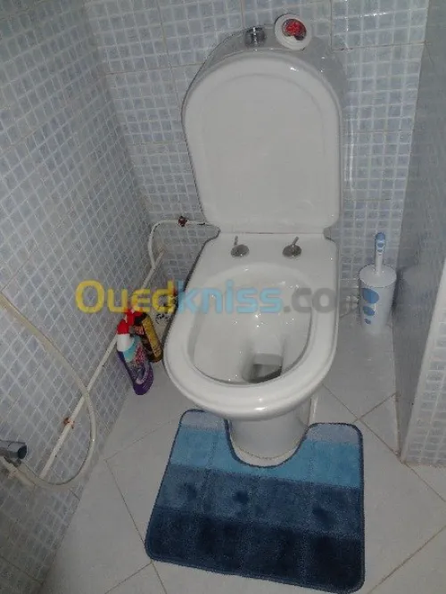 Location vacances Appartement F3 Alger Ain naadja