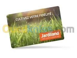 Impression carte professionnelle