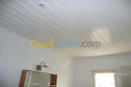 faux plafond pvc 